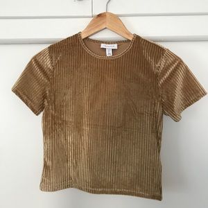 Champagne Velour Stripe Crop Top